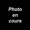 lien vers la description de la gemme et photographie